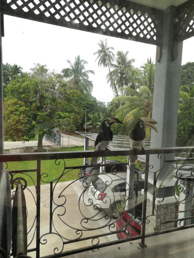 Darney's Homestay Kg Bangau Tanjung Temerloh Bagian luar foto